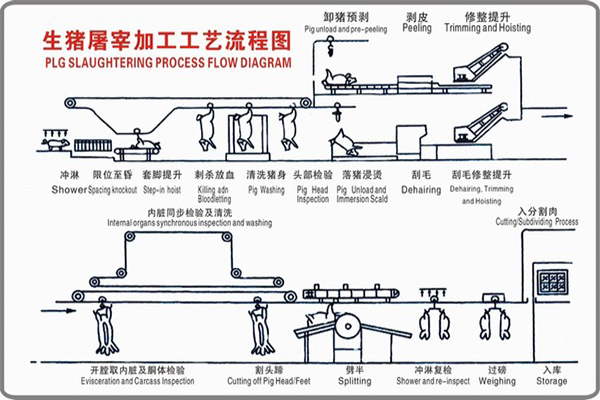 生猪屠宰设备加工工艺流程（图）